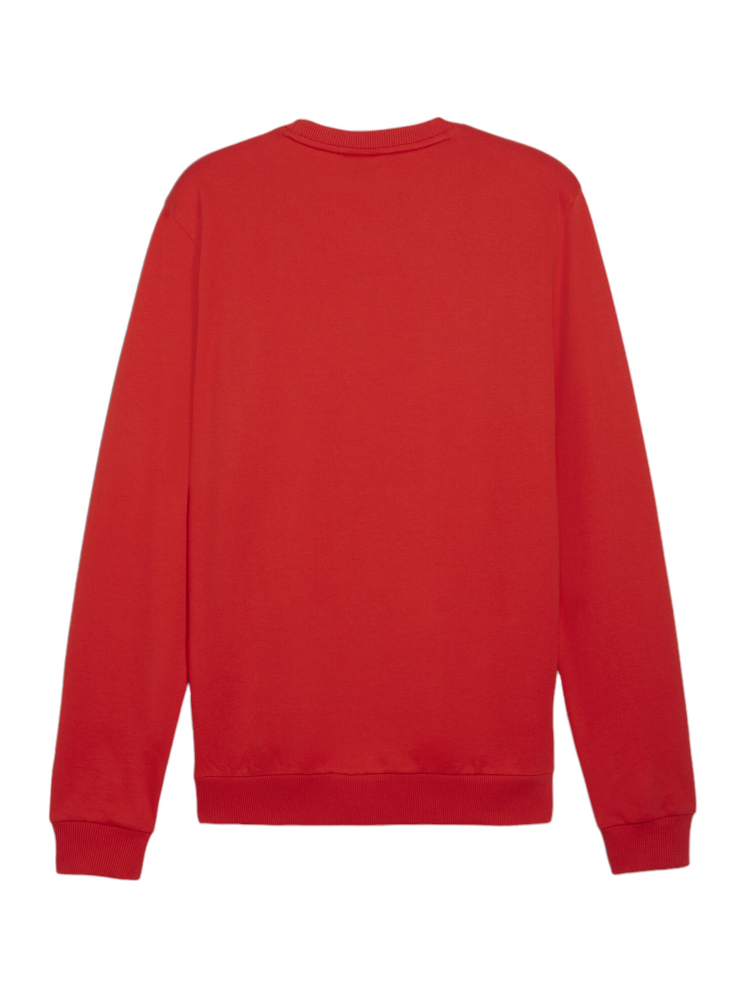 PUMA Sportsweatshirt 'TeamGoal' in Rot