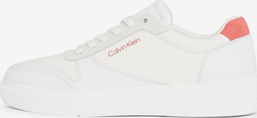 Baskets basses Calvin Klein en blanc : devant