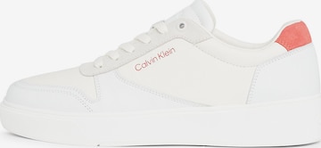 Baskets basses Calvin Klein en blanc : devant