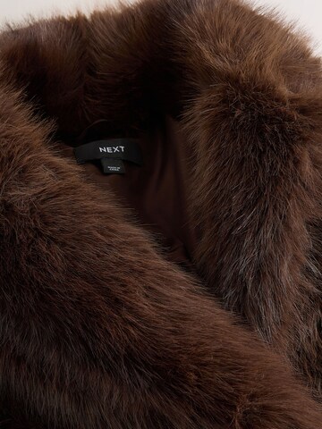 Cappotto invernale di Next in marrone