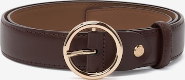 jolar Belt in Brown: front