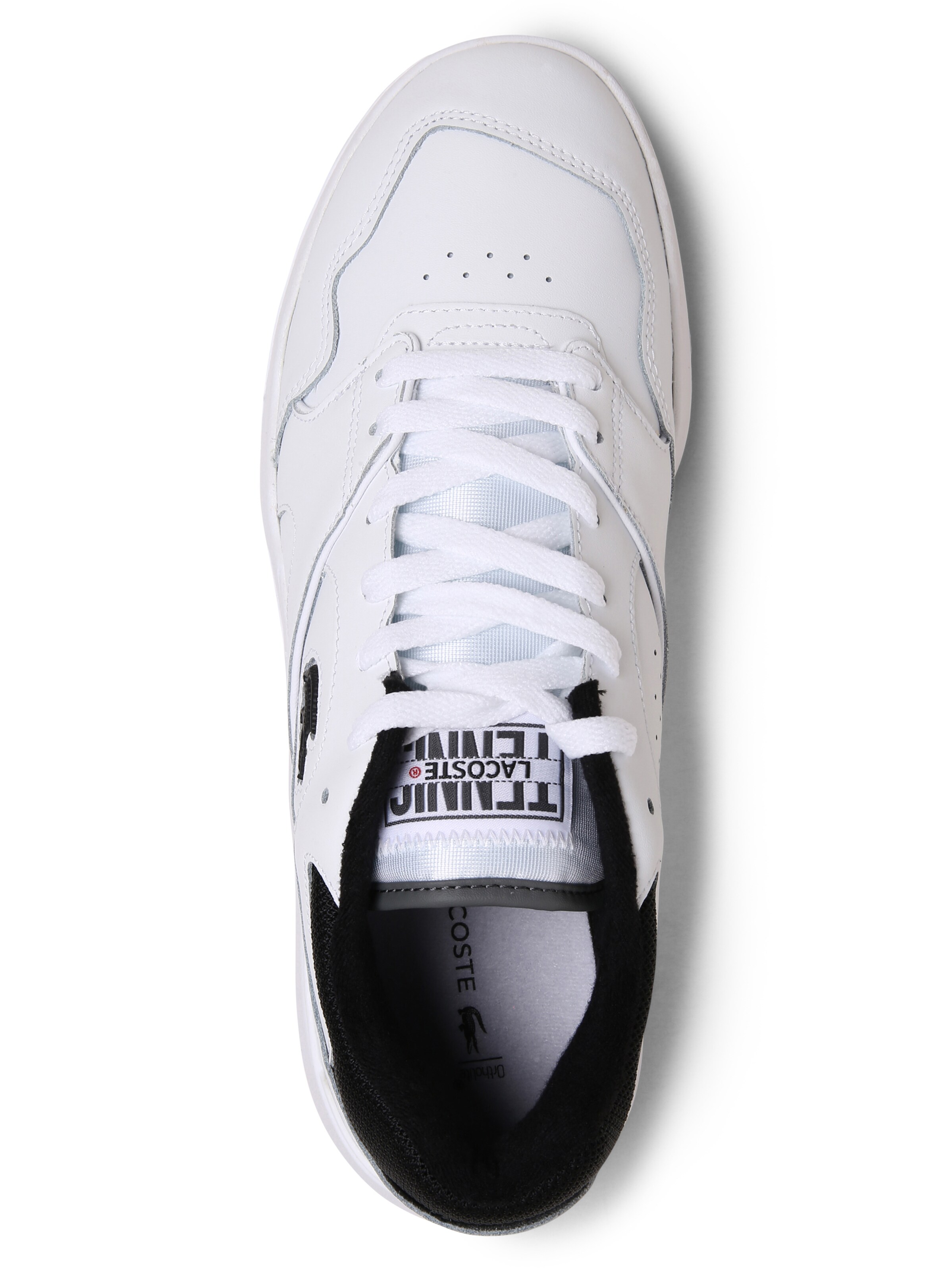 Baskets basses 'Lineshot' LACOSTE en blanc