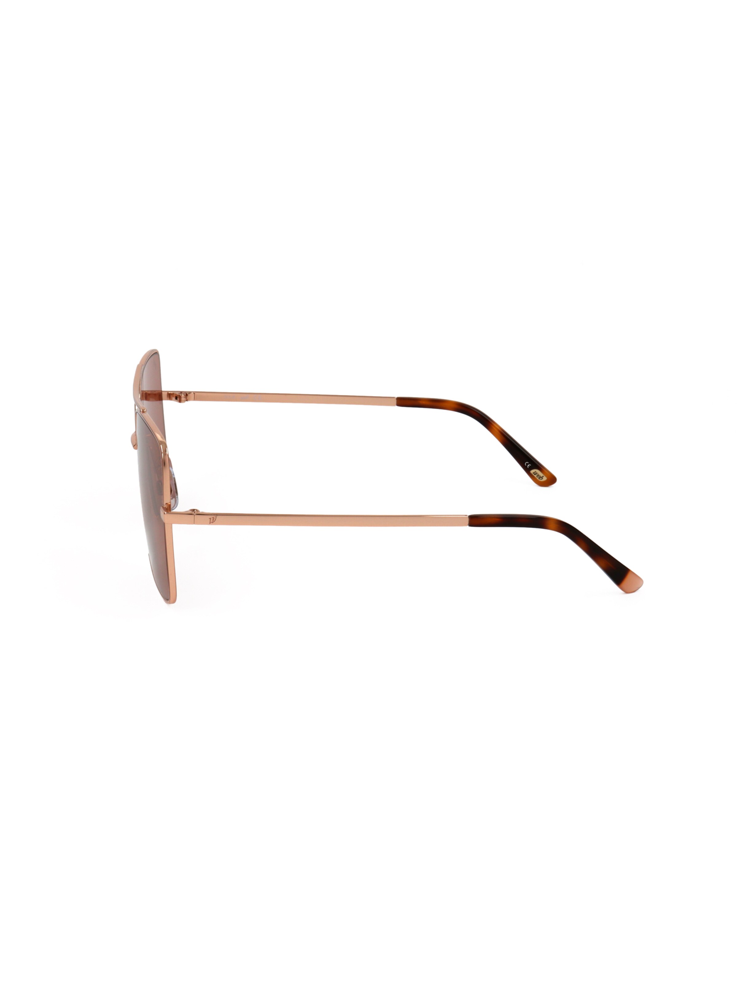 Occhiali da sole 'WE0210' di Web Eyewear in marrone