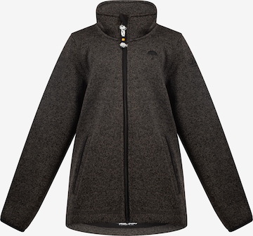 Schmuddelwedda Fleece Jacket in Grey: front