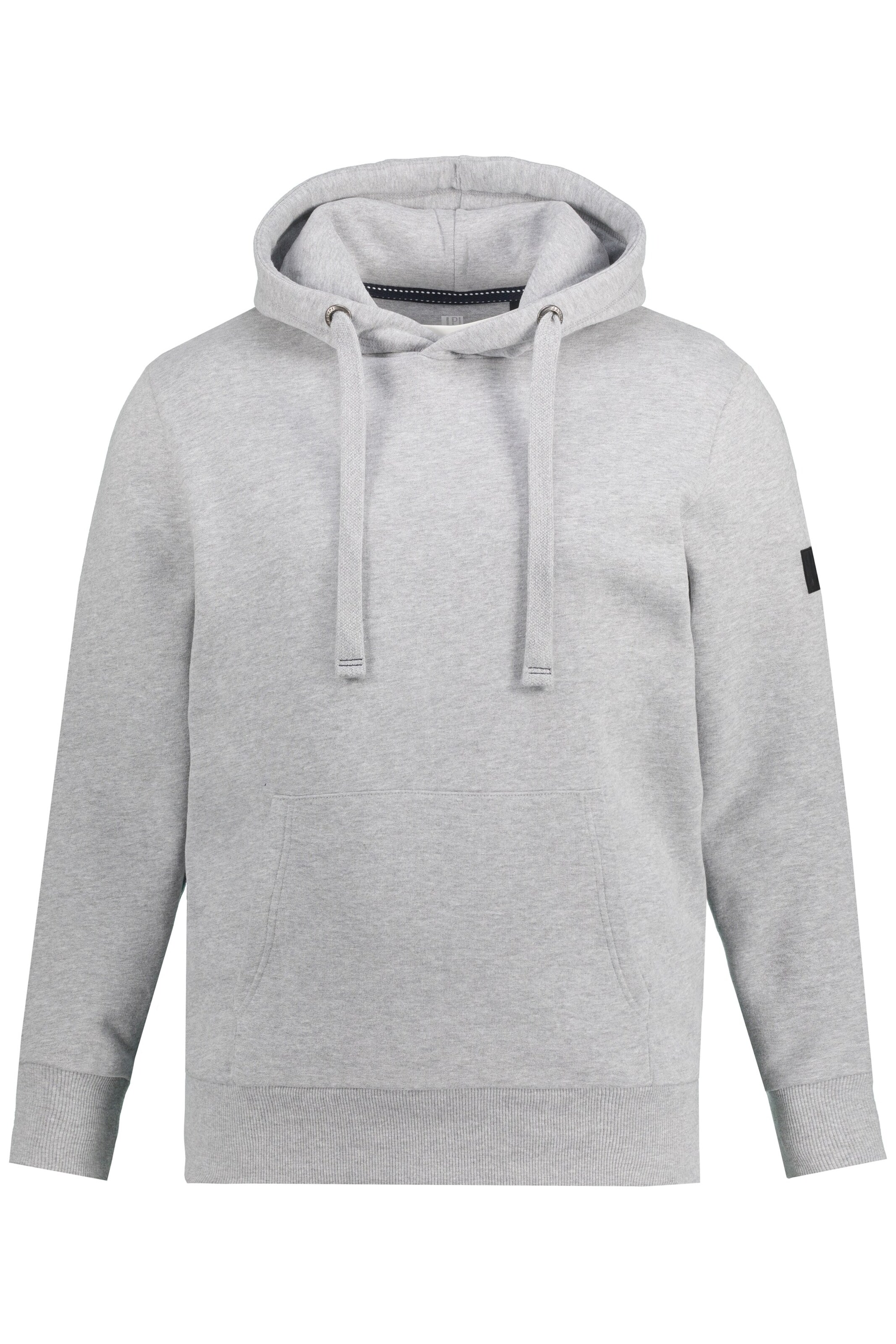 JAY-PI Sweatshirt in Grau: Vorderseite