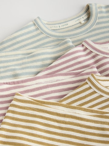 Next Zestaw w kolorze mieszane kolory