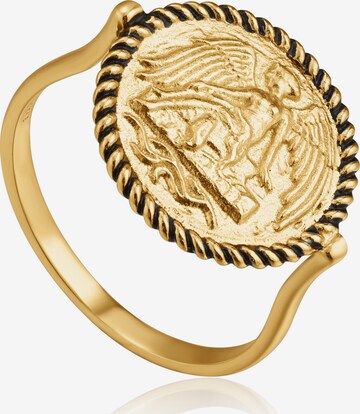 ANIA HAIE Ring in Gold: front