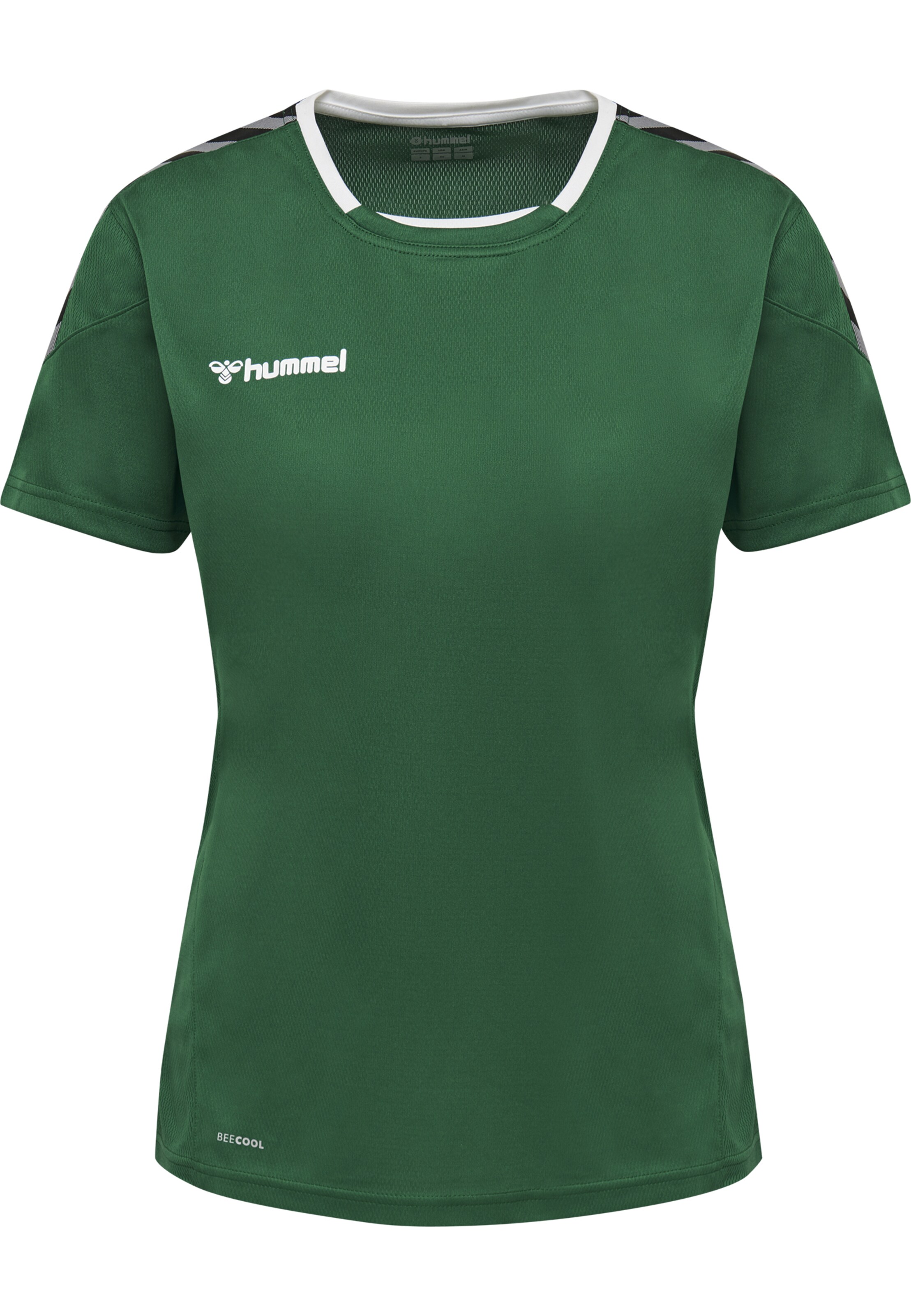 Hummel Trikot 'AUTHENTIC' in Grün: Vorderseite