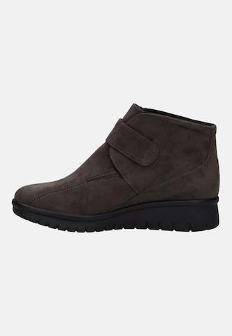 JOSEF SEIBEL Stiefelette in Braun