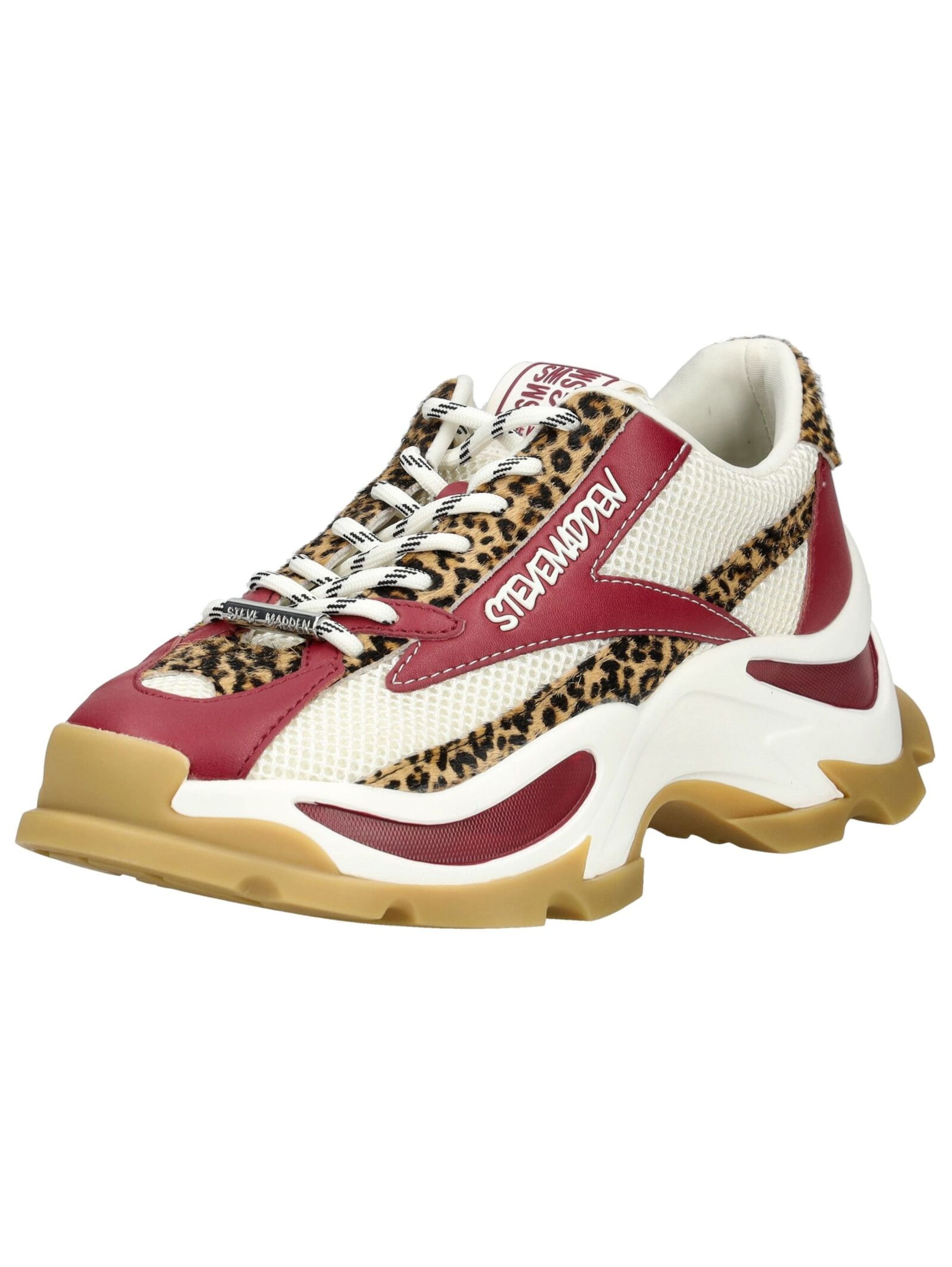 Baskets basses STEVE MADDEN en blanc : devant