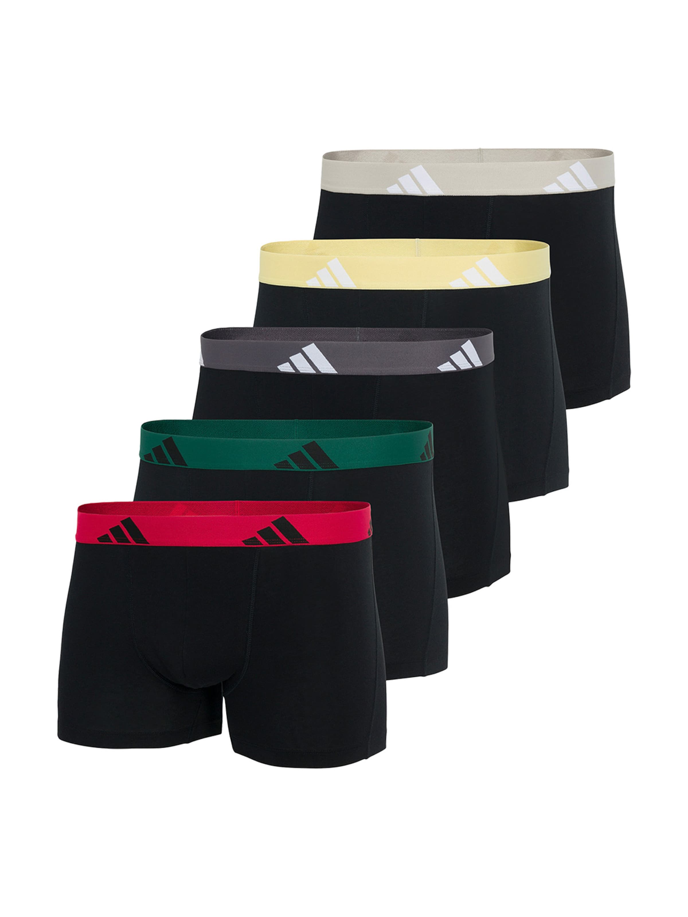 Boxer 'Active Flex' di ADIDAS SPORTSWEAR in nero: frontale