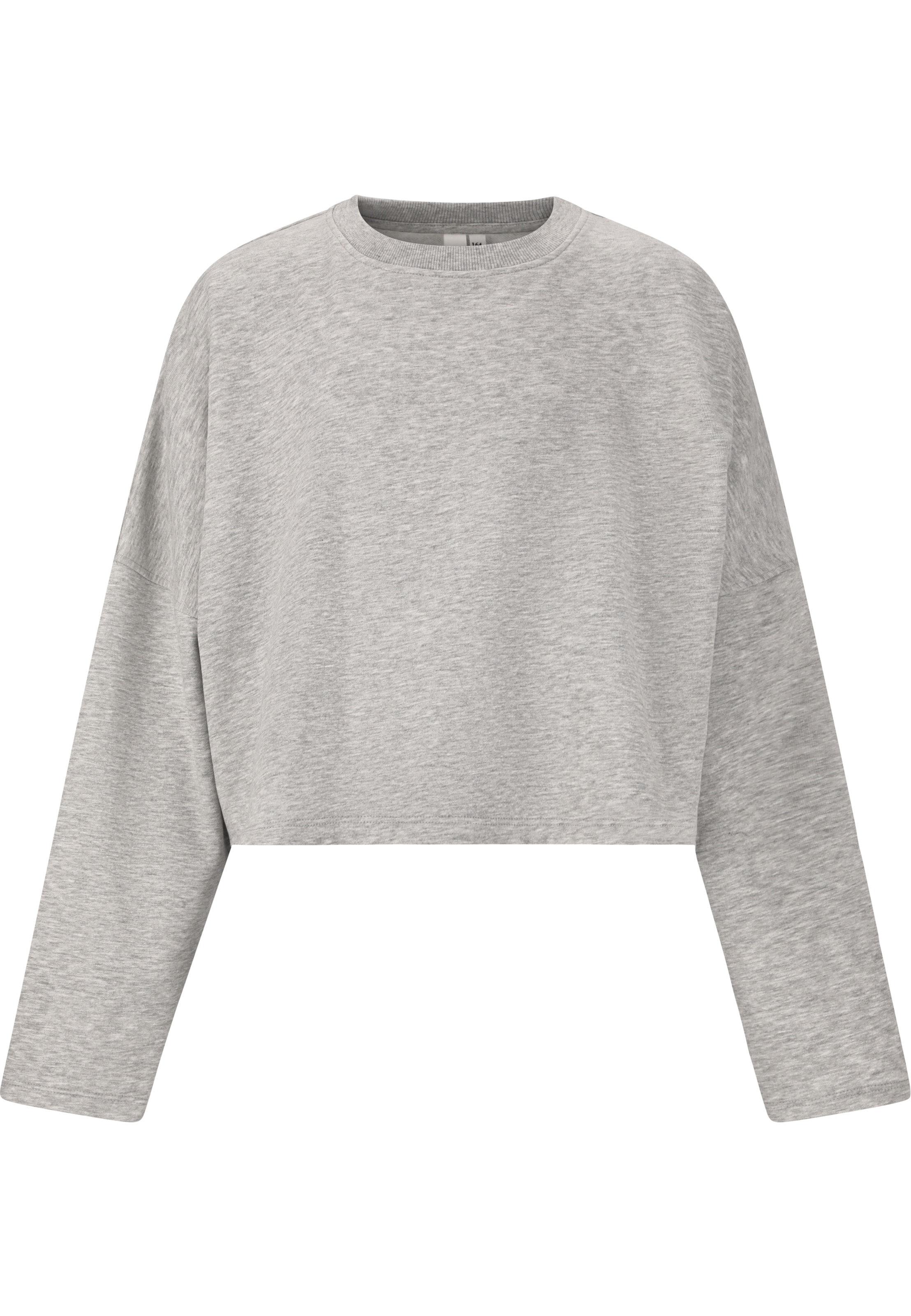 Les'Arcs Sweatshirt 'Clairen' in Grau: Vorderseite