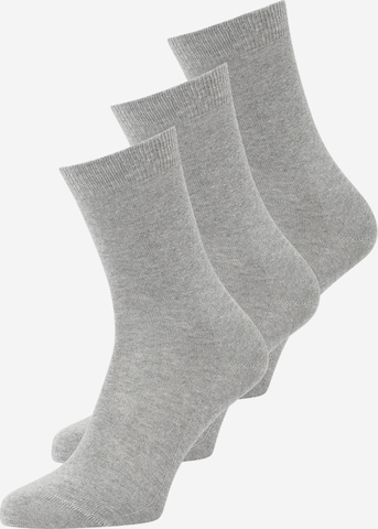 Chaussettes FALKE en gris : devant