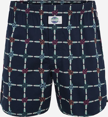 D.E.A.L International Boxer shorts 'Hawaii Board' in Blue: front