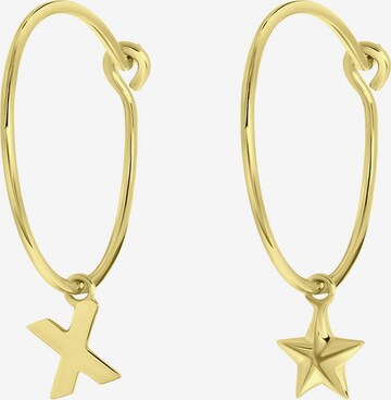 Lucardi Earrings in Gold: front