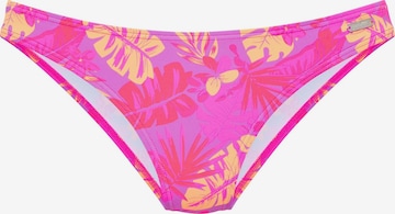 Bas de bikini VENICE BEACH en violet : devant