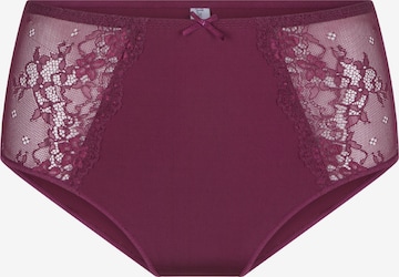 LingaDore Panty 'DAILY' in Purple: front