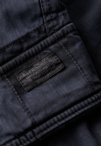 Superdry Свободный крой Брюки-карго 'Core' в Синий