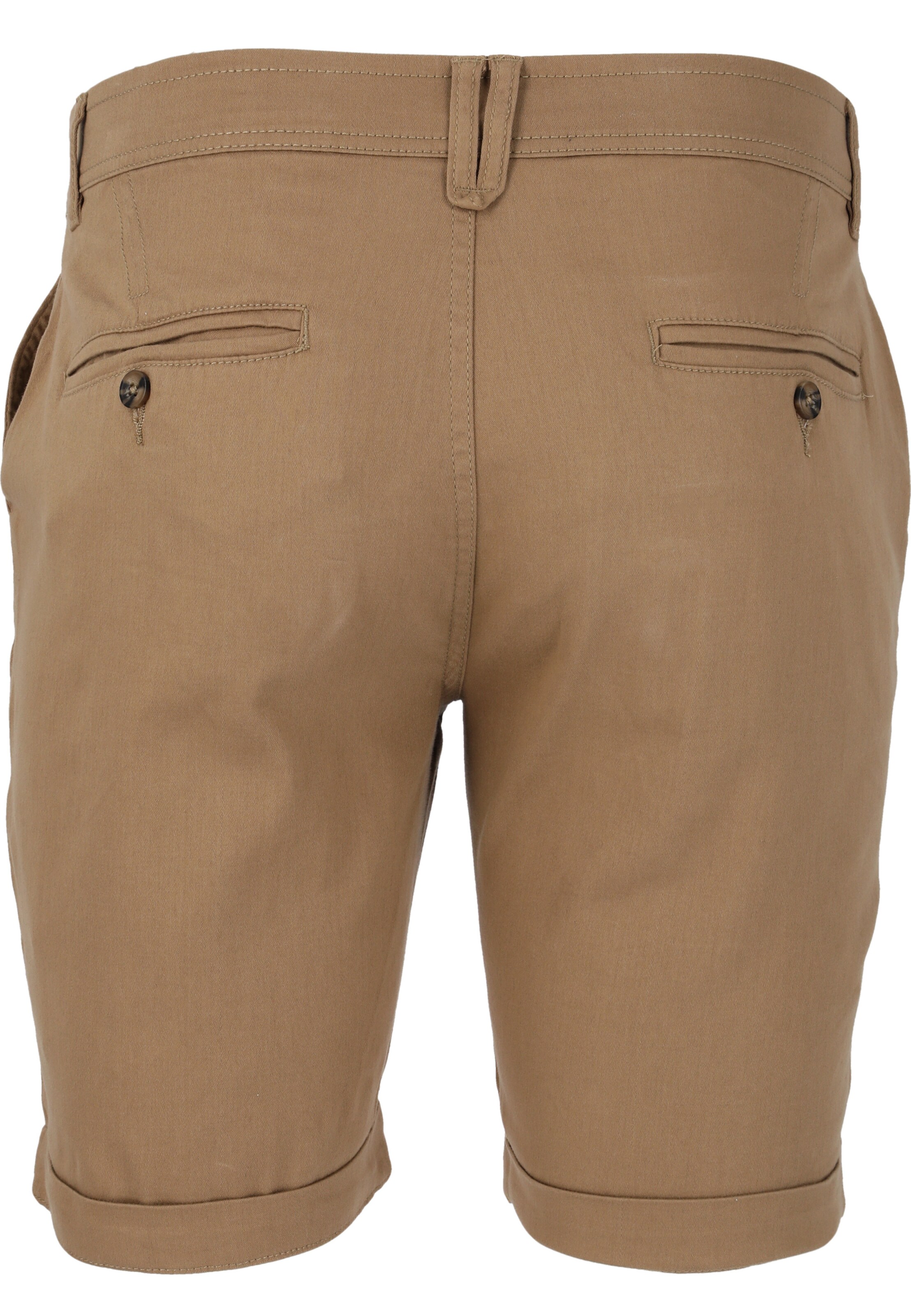 Cruz Regular Pants 'Jerryne' in Brown