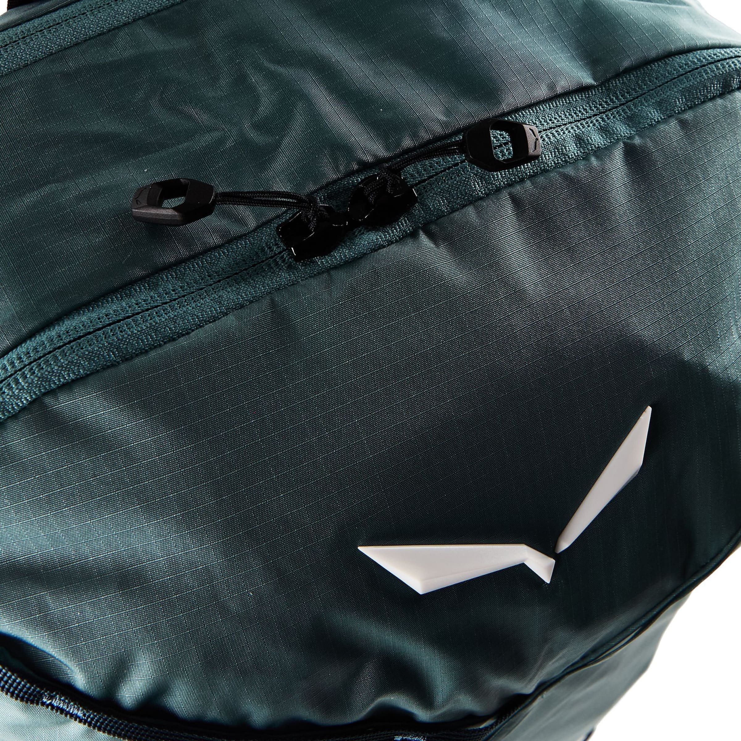 SALEWA Sportrugzak 'Pedroc Mate 22' in Blauw