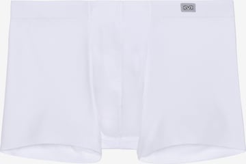 Boxer di HOM in bianco: frontale