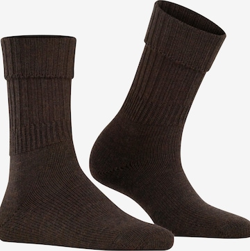 FALKE Socken 'Striggings Rib' in Braun: Vorderseite