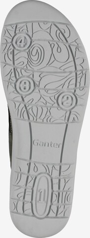 Ganter Pantolette in Grün