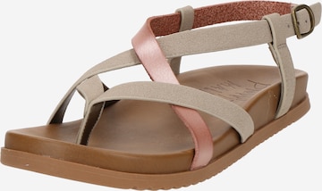 Blowfish Malibu Varvastossut 'Camden' värissä kulta: etupuoli