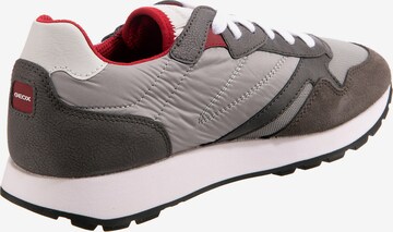 GEOX Sneakers 'Vicenda' in Grey