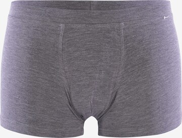 Blackspade Boxer shorts ' Silver ' in Grey