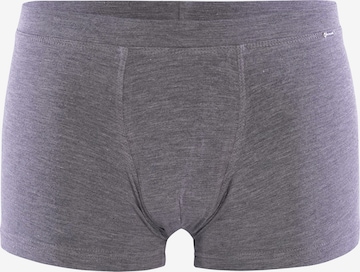 Blackspade Boxer shorts ' Silver ' in Grey