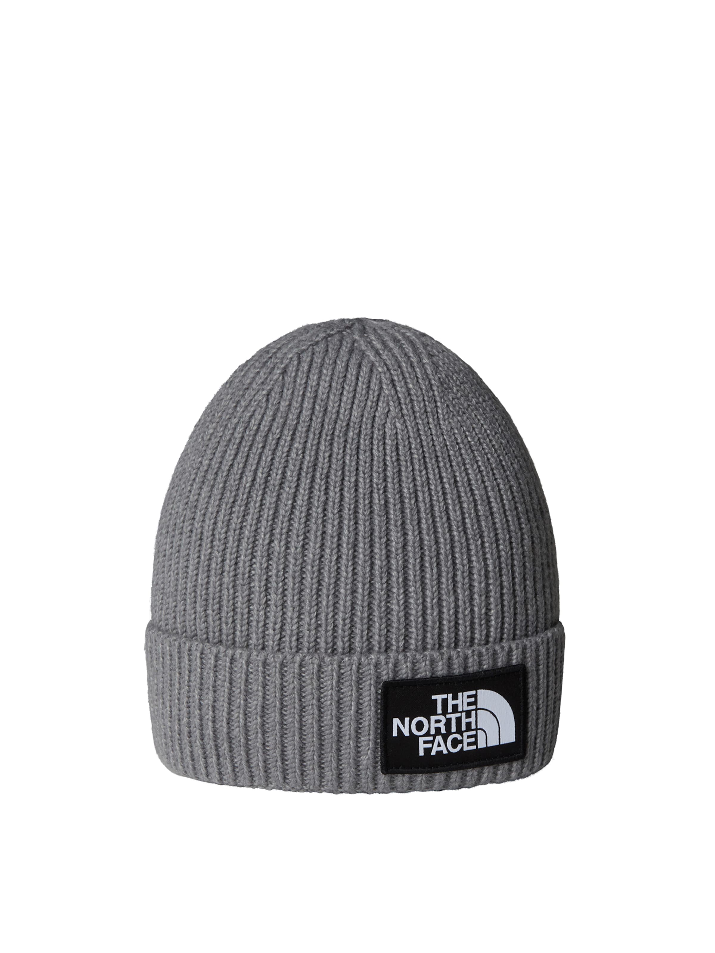 THE NORTH FACE Čepice – šedá: přední strana