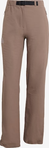 ADIDAS TERREX - Pantalón de montaña 'Xperior Clima365' en marrón: frente