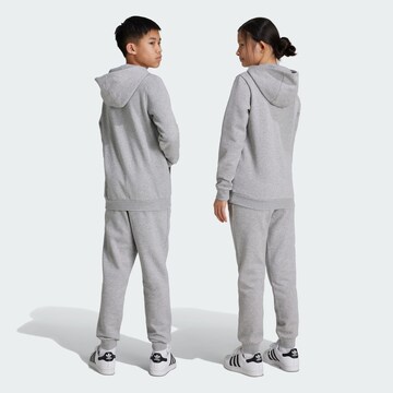 ADIDAS ORIGINALS Tapered Trousers 'Trefoil Essentials' in Grey