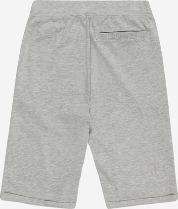 Guppy Regular Pants 'JACOB ' in Grey