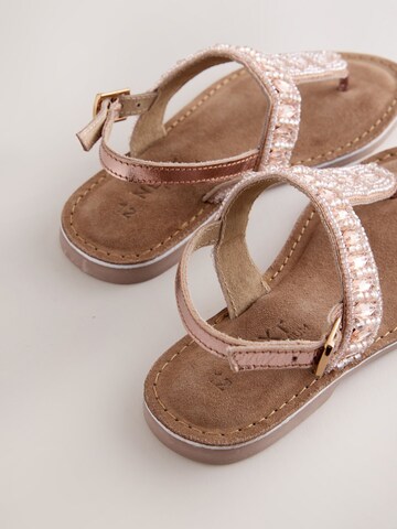 Next Sandalen in Roze