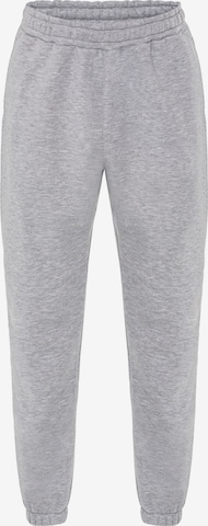 Redbridge Loose fit Pants in Grey: front