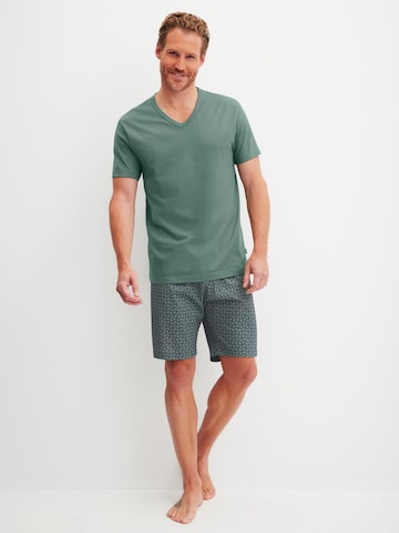 CALIDA Pyjama kurz 'Cotton Special'‌‌‌‌ in Grau