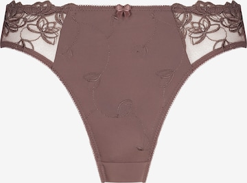 Hunkemöller Panty 'Diva' in Brown: front