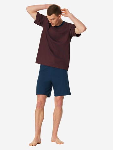 SCHIESSER Pyjama kort 'Comfort Essentials' in Rood