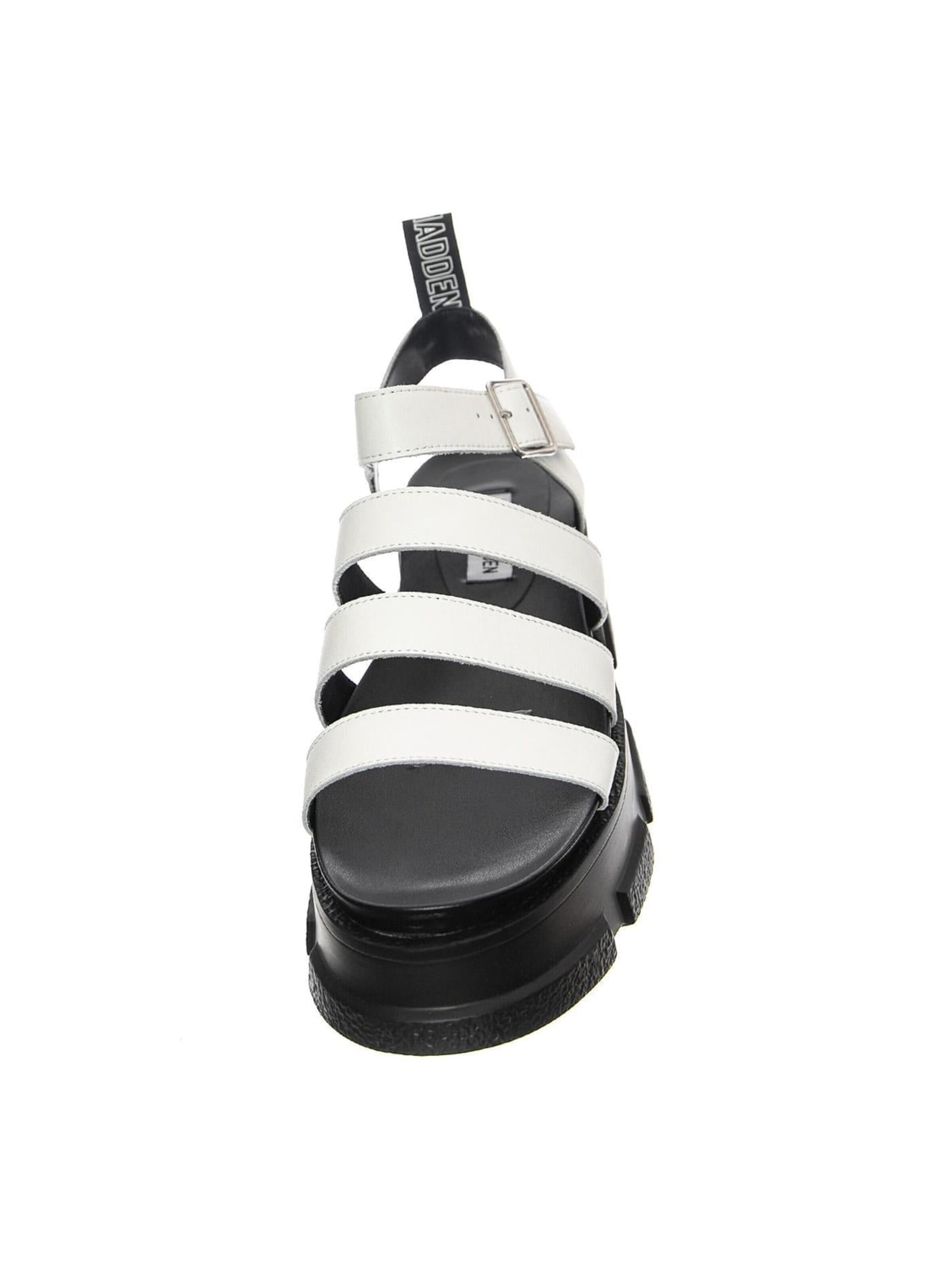 Sandalo 'W' Pioneer White Leat' di STEVE MADDEN in bianco