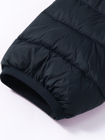 ALLTHEMEN Winter Jacket 'Stichwerk' in Blue