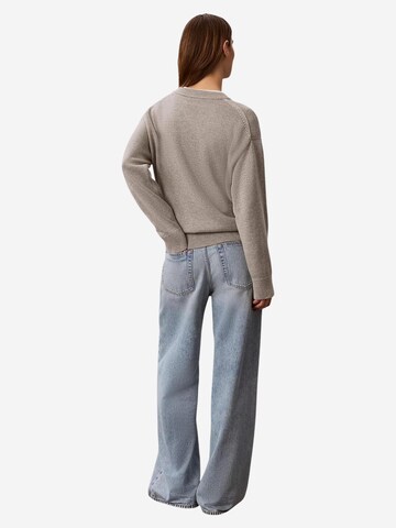 Calvin Klein Jeans Pullover 'LV044G313G' i grå