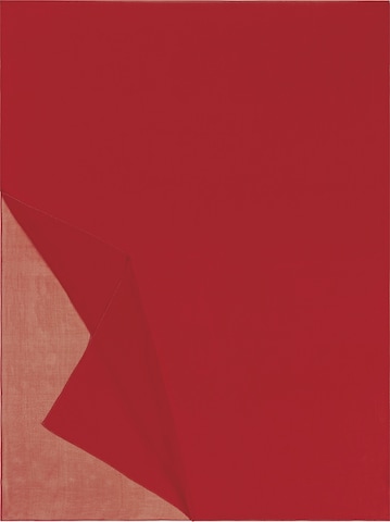 Roeckl Schal 'CLASSIC GEORGETTE' in Rot: Vorderseite