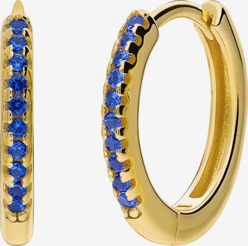 Boucles d'oreilles Lucardi en or : devant