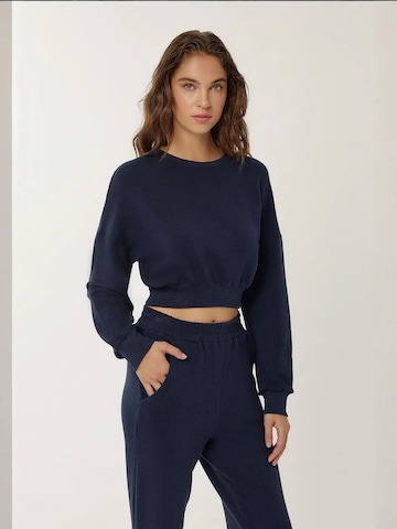 Hiccup Sweatshirt in Blauw