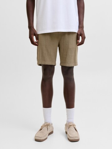 JACK & JONES Свободный крой Штаны 'JPSTJAIDEN' в Зеленый: спереди