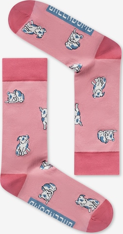 GREENBOMB Socks 'Frenchi' in Pink: front