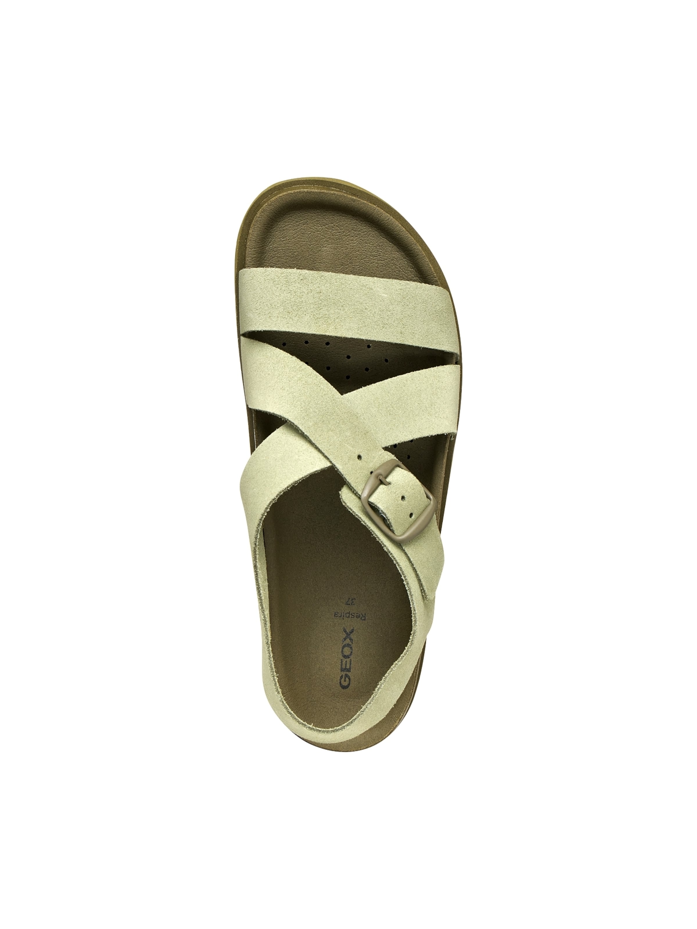 GEOX Sandals in Green