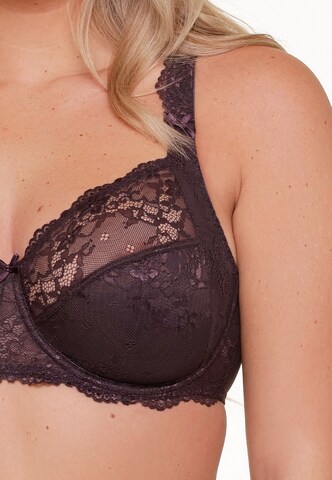 Soutien-gorge LingaDore en violet